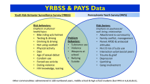 YRBSS vs. PAYS graphic comparison