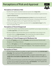thumbnail image of PAYS highlights 2019 Perceptions of Risk and Approval page 10